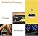 PROZOR Lámpara de Camping Colgante 60 LED Recargable 3 Modos con Cable...
