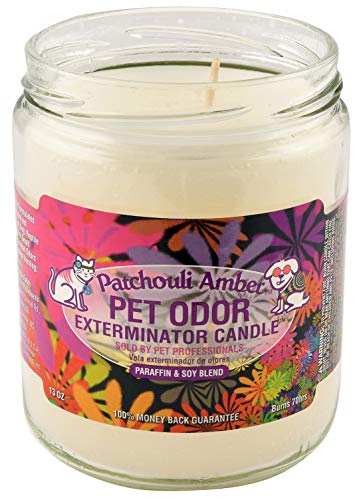SPECIALTY PET PRODUCTS Amber Patchouli Pet Odor Exterminator 13 Ounce Jar Candle (Amber Patchouli, 1)