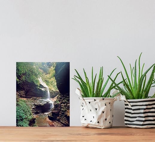 Miniatura 2 de Watkins Glen New York Waterfall Nature Woods Scenery - Póster para decoración de pared (16 x 20 pulgadas)