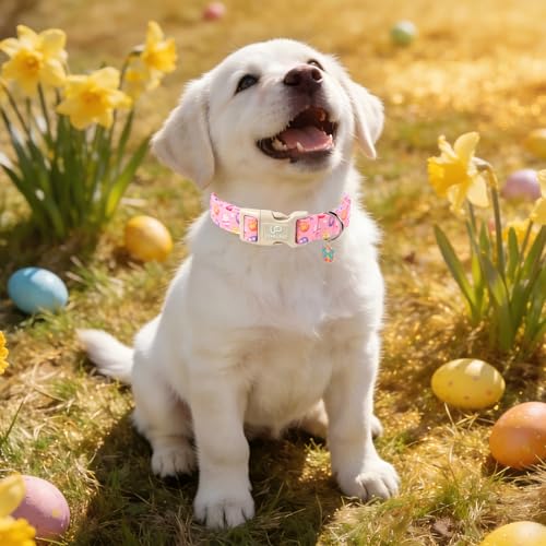 Image of Easter Day Dog Collar, UP URARA PUP Easter Eggs Adjustable Pet Collar with Bowknot Charm, Colorful Eggs Dog Collars for Small Medium Large Dogs