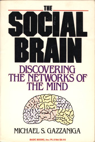Social Brain view 2