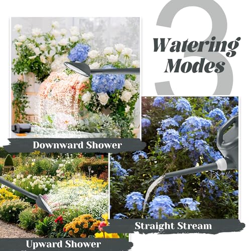 Image of 1 Gallon Watering Can, Garden Watering Can Outdoor, Plant Water Can with Removable Long Spout and Stainless Steel Sprinkler Head, Plastic Indoor Watering Cans for Gardening Flower Plants
