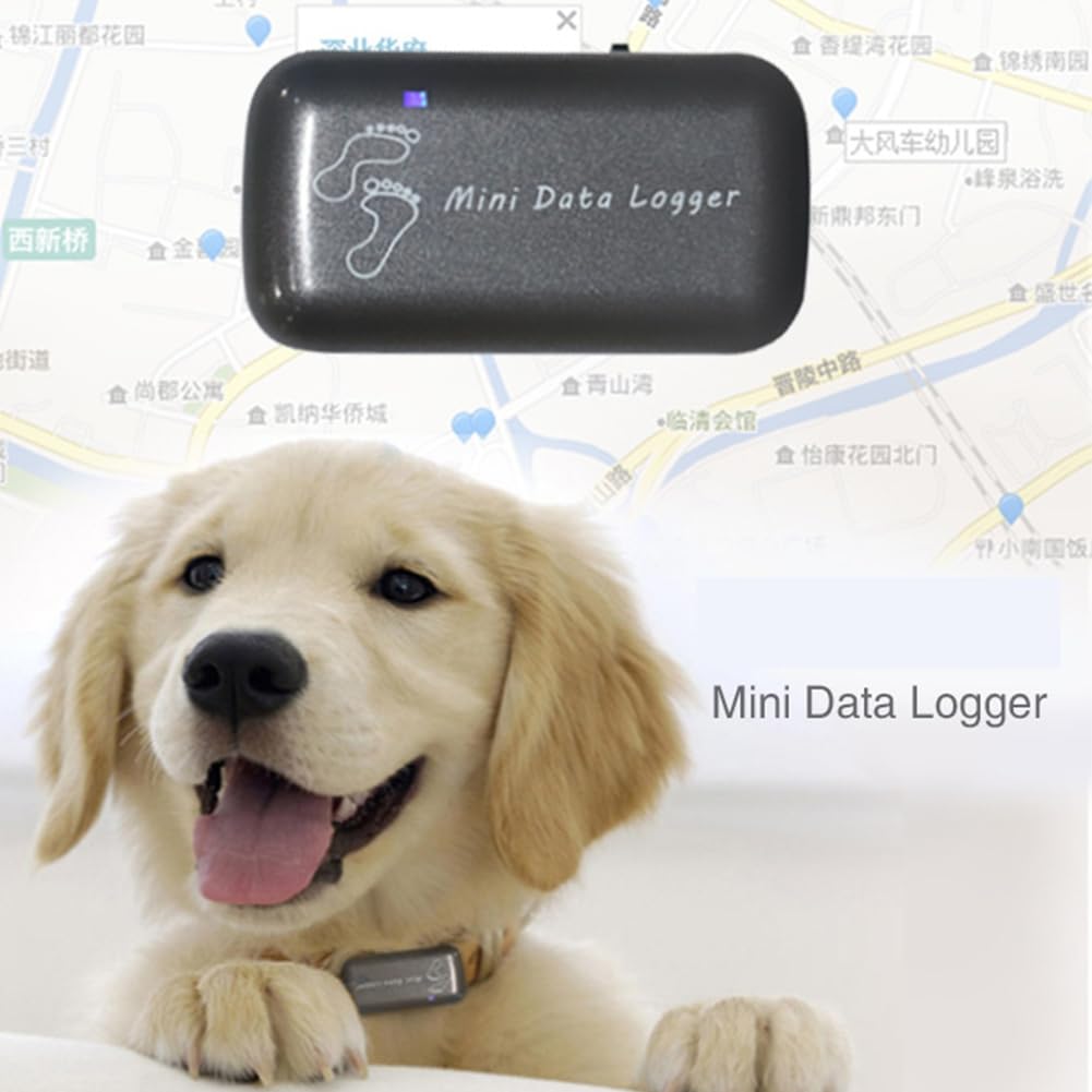 Mini Enregistreur de Données GPS Étanche, Enregistreur de Suivi GPS pour Chat, Chien, Animal de Compagnie, Sport, Randonnée, Voyageur, Cartographie, Navigation