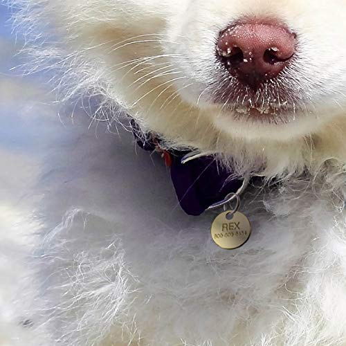 Lucky Line Solid Brass Round Tag - One Hole And 1-1/4 Inch Diameter, 100 Per Box (26012) #TOP4