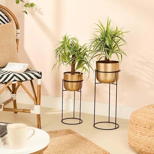 Image of amazon basics Gold Plated Metal Planters with Stands (Set of 2) | Suitable for Living Room, Bedroom Decor | (Gold)