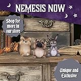 Nemesis Now Three Wise Hedgehogs Figurine 9cm Brown - Image 6