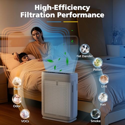 Image of 2 Pack F1 Replacement Filter for AMEIFU F1 Air Purifier, Double-Sided Air Purifier Filter for Home Large Room Up to 2200 Sq Ft, H13 True HEPA and Activated Carbon, Replace Part #‎F1F