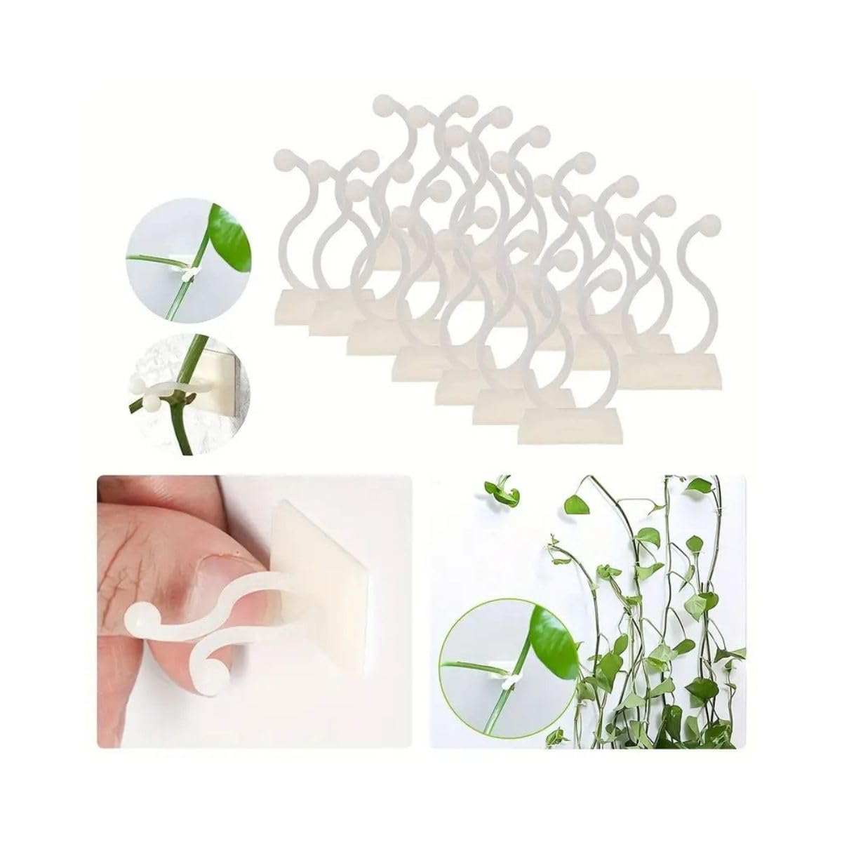 See full amazon price history chart for 30pcs Plant climbing Fixing wall clips for Money Plant leaf organizer, Wall support creepers Widely Used for plants Holder - Self Adhesive Plant Vine Backed Twist Clips (White/pack of 30) 30pcs Plant climbing Fixing wall clips for Money Plant leaf organizer, Wall support creepers Widely Used for plants Holder - Self Adhesive Plant Vine Backed Twist Clips (White/pack of 30) (B0CZ97TD42) Amazon Price History, Amazon Price Tracker