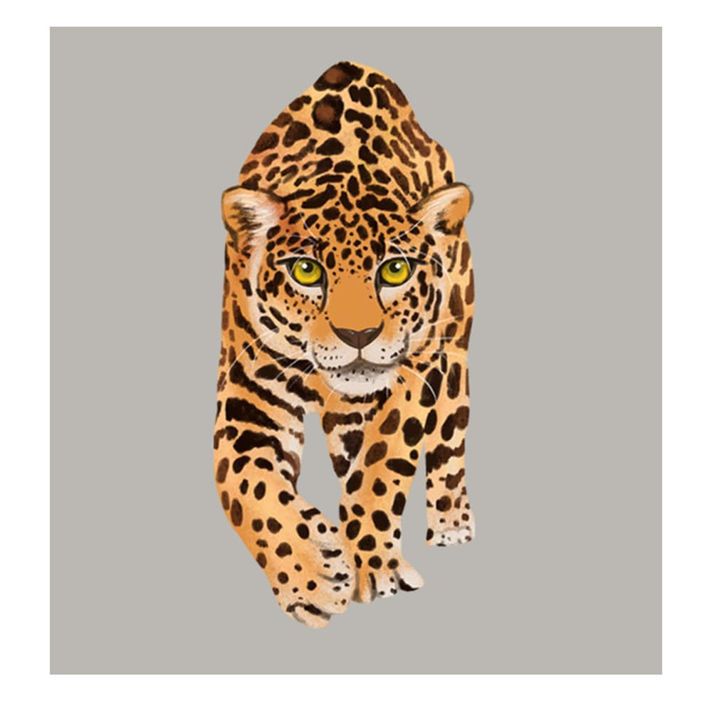 Toppe Termoadesive Motivo Leopardato Per Magliette Fai Da Te | Transfer Con Ferro Da Stiro | Decorazione - Foto 7