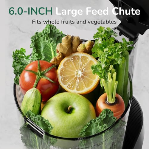 Canoly C16 Cold Press Juicer, 6" Extra Wide Feed Chute, 3-IN-1 Strainers (Juice & Sorbet & Nut Milk), Powerful AC Brushless Motor, Self Precut System, Juicer Machines with BPA-Free (Space Gray)