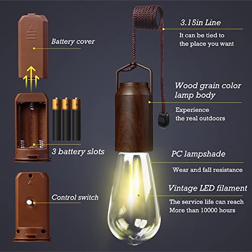 Pinsai 2 Pack Battery Powered Tent Light Bulb,Portable Outdoor Hanging Vintage Led Camping Light,Hurricane Pendant Emergency Lighting Lantern For Hiking Backpacking Fishing Outage Power Failure #TOP5
