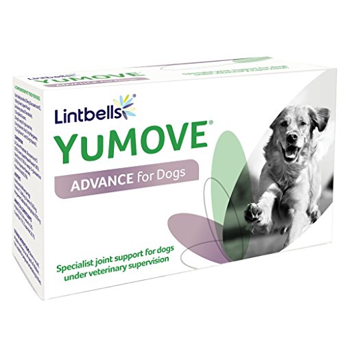 best price yumove advance for dogs