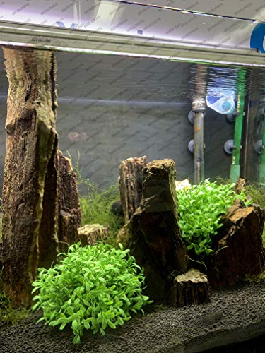 Begondis Aquarium Decorations Fish Tank Artificial Green Water Plants Made Of Soft Plastic, Safe For All Fish & Pets (Style-3) #TOP2