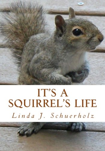 It's a Squirrel's Life: a Tale of Stress and Misunderstanding