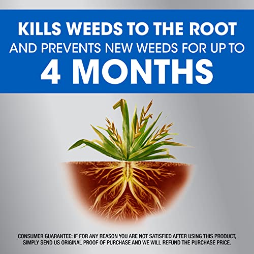 Roundup Dual Action Weed & Grass Killer Plus 4 Month Preventer, 1.33 gal. - image 4