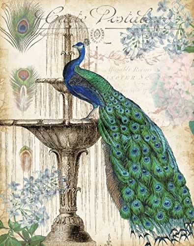 Posterazzi PDXRB9347TSSMALL Vintage Peacocks Ii Poster Print cover