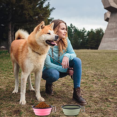 2 Stück Faltbare Reisenäpfe,Haustier Hundenapf mit Deckel und Haken Tragbare Silikon Trinkschale für Katzen,Hunde Reise Wanderungen and Camping (Blau und Rosa, groß)