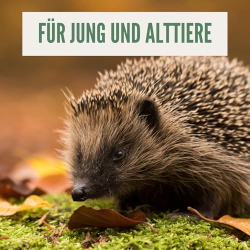 Orni Igelfutter mit Insekten ohne Getreide | 1kg | Alleinfutter für Igel | Artgerecht | getreidefrei | Trockenfutter mit Mehlwürmer Seidenraupen und hohem Fleischanteil