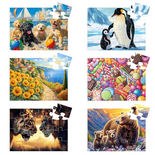 6 Packs 16 Large Piece Puzzle for Seniors - Dementia Puzzles for Elderly Adults,Easy Puzzle Alzheimer’s Memory Cognitive Game Gift for Patient in Nursing Home with 6 Storage Bags