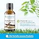 Süßholzwurzel Tropfen, Tinktur 50 ml – mit Glycyrrhiza glabra und Vitamin B6, Vegan, für den täglichen Gebrauch von BIOHERBA PZN 18215758