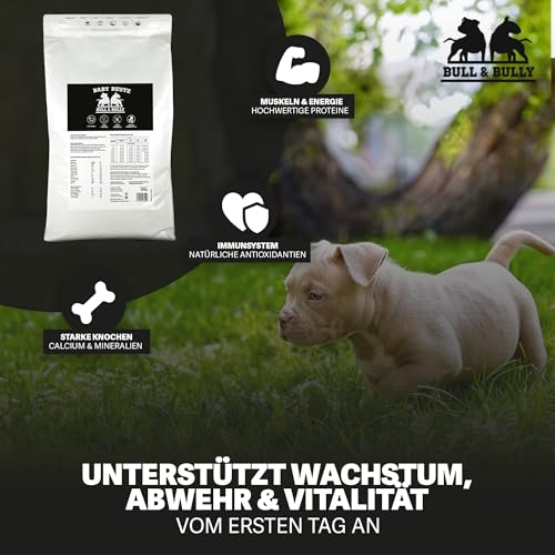 BULL & BULLY – Baby Beute 10 kg Hundefutter Trocken Getreidefrei – Trockenfutter & Hundeleckerli mit kleinen Kroketten für Welpen & kleine Hunde – Dog Food & Leckerlis mit viel Protein aus Beef