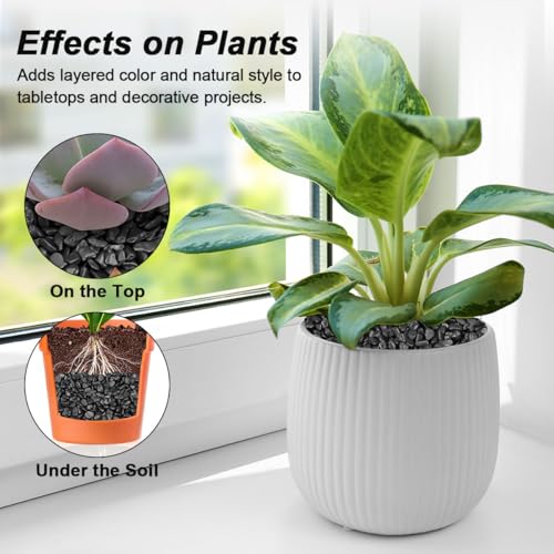 Image of Decorative River Rocks & Landscaping Pebbles for Potted Plants
