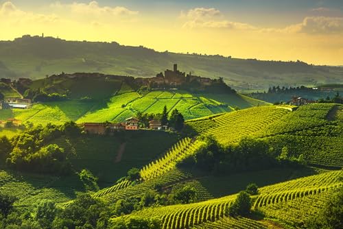 Vetro acrilico spesso 3-4 mm Quadro acrilico 80 x 50 cm: Lunghi vigneti Tramonto Panorama, Castiglione Falletto e La Morra, Piemonte, Nord Italia Europa. (110085149)