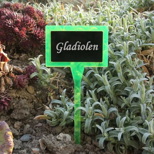 Bütic GmbH Plexiglas® Plaque de plante double carrée Vert fluo + noir Nom de plante : Glaïeul