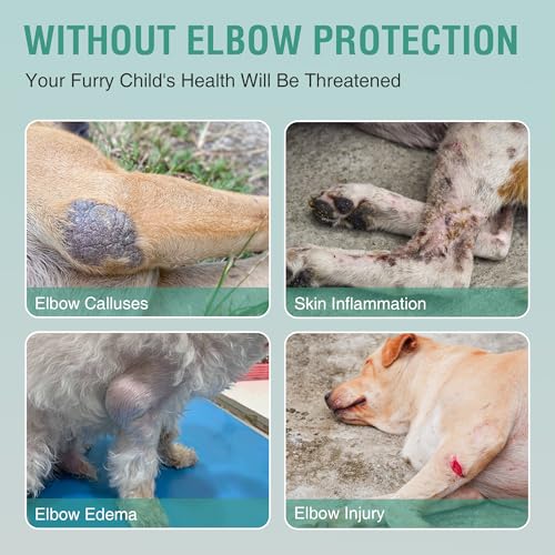 Image of Dog Elbow Protector for Osteoarthritis Canine Elbow and Shoulder Support Dysplasia Elbow Calluses Pressure Sores Dog Front Leg Brace for Better Recovery with Reflective Both Legs XL