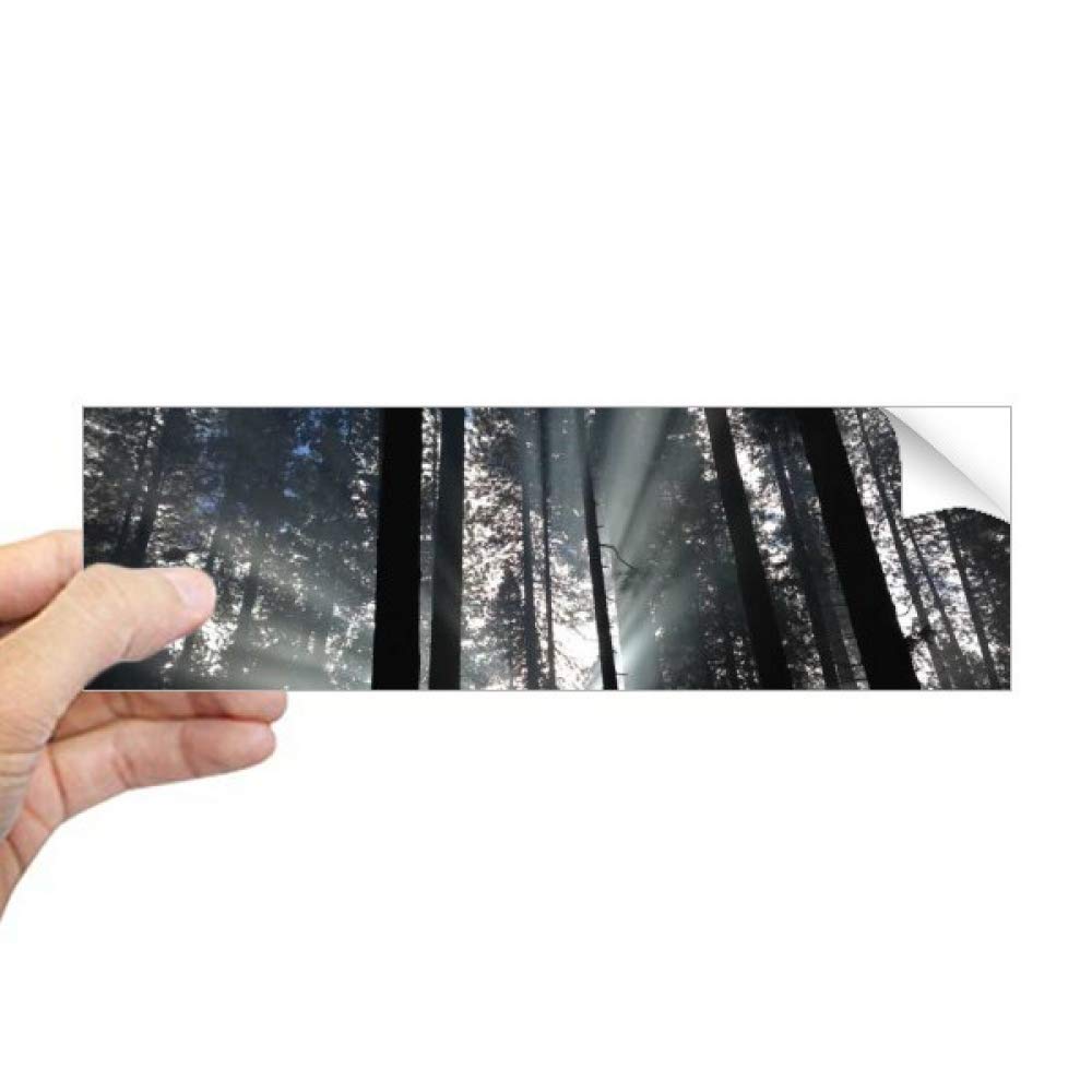 Autocollant rectangulaire esprit nature pour carnet de bureau