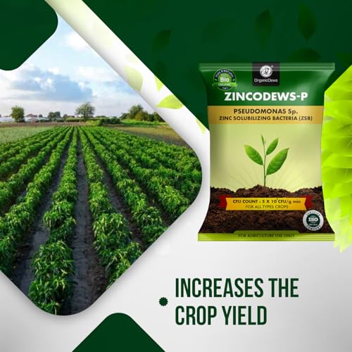 Image of OrganicDews Zinc Solublizing Bacteria Bio Fertilizer 250 g (5x10^7 CFU /g) for Plants - Soil Fertility, Faster Plant Growth and Increases the Yield 250 g
