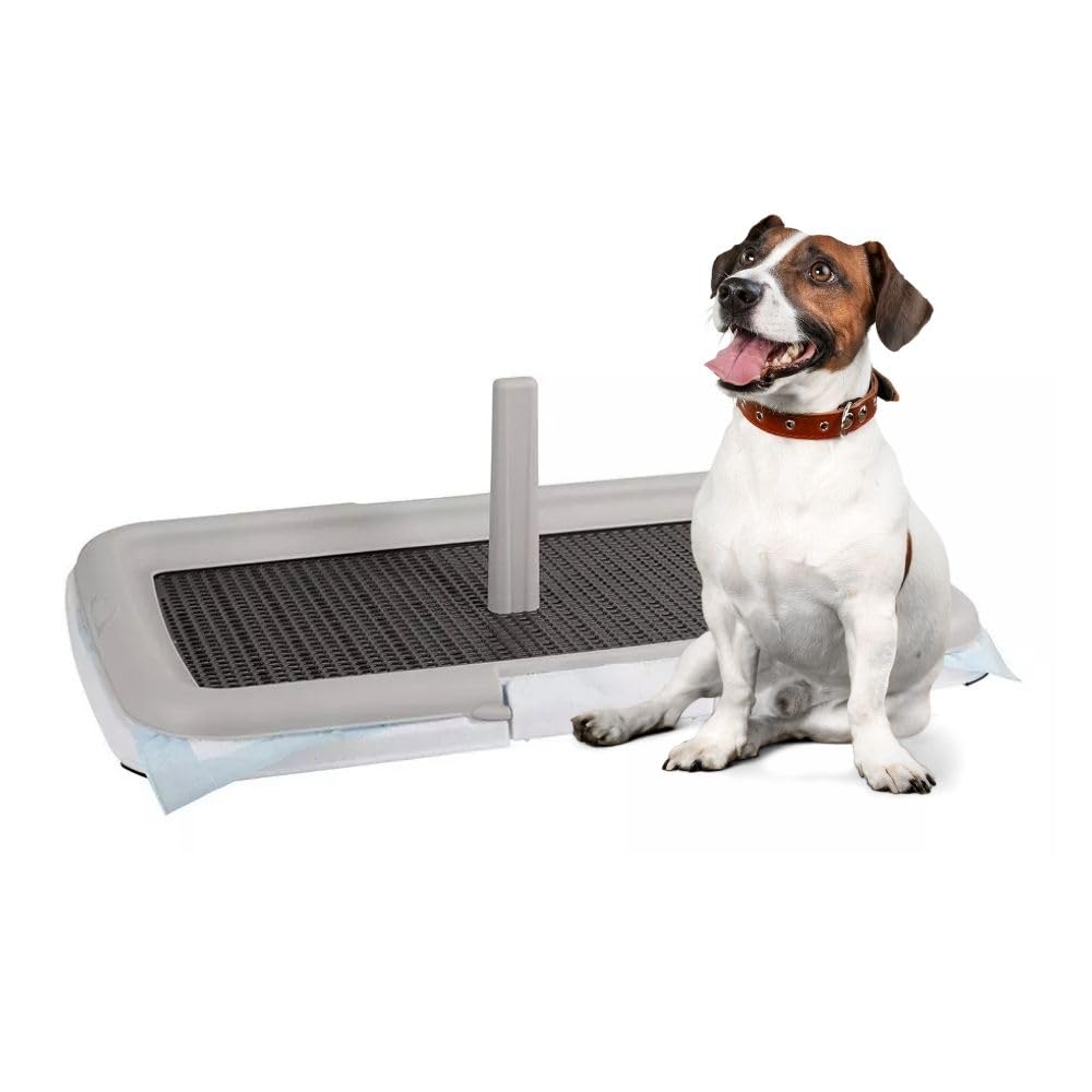 Paluplus Toilette Educativa per Animali, Misura 60x40 cm, tappetino con piedini antiscivolo e Torretta per Cani Maschi, Lettiera per Addestramento cuccioli cane e gatto -​0600F