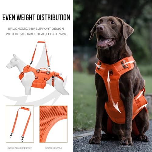 Image of OneTigris Dog Lift Harness for Large Dogs, Dog Hip Support Brace, Full Body Dogs Lifter with Handles Invictus Multifunctional Mobility Assistance Vest for Back Legs