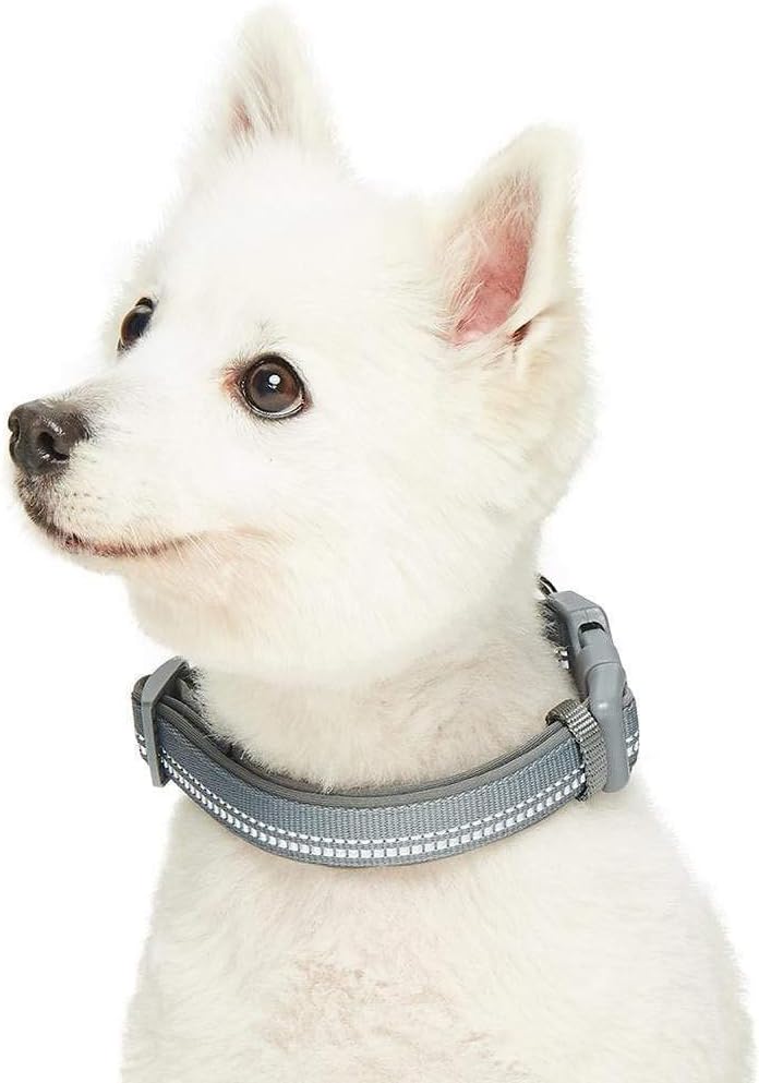 Blueberry Pet Soft & Comfy 3M Reflective Pastel Color Padded Dog Collar, Gray, Medium, Neck 37cm