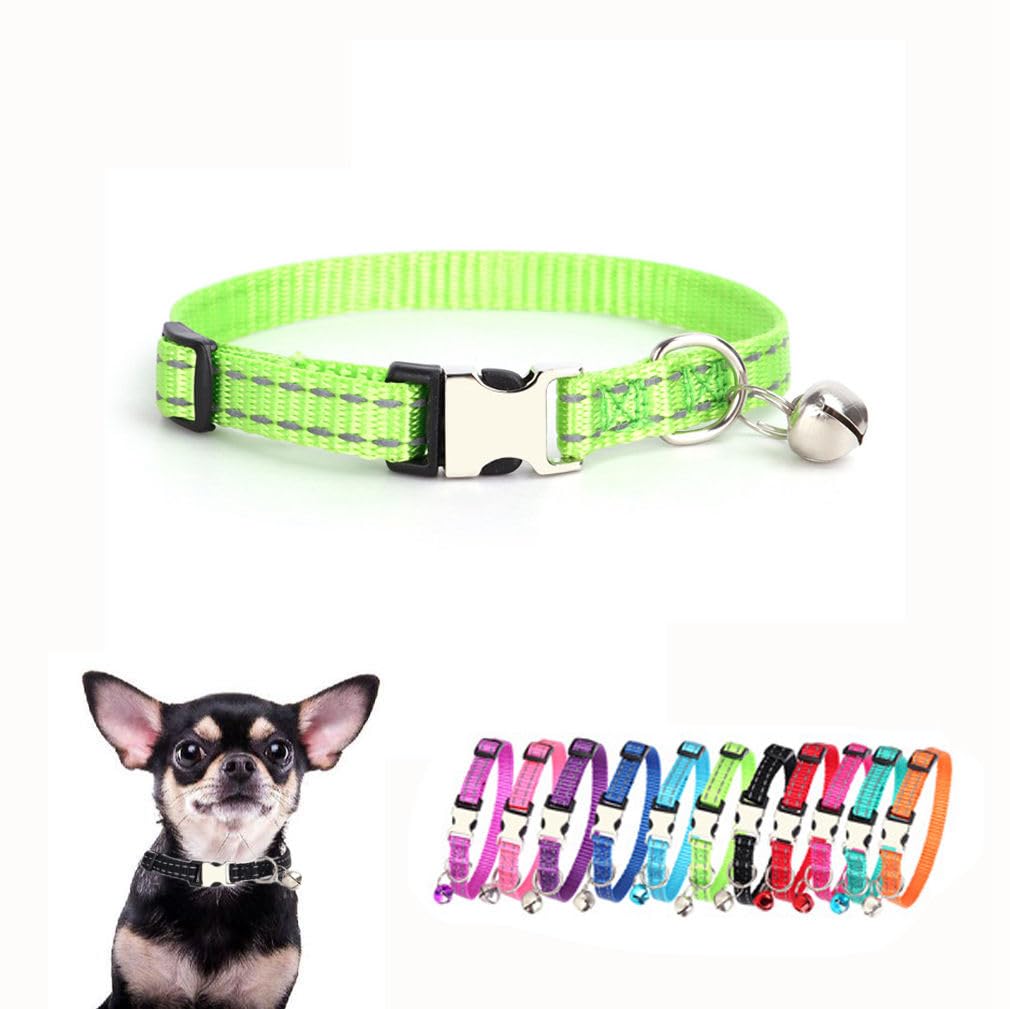 Collier chiot et chaton XS vert réfléchissant pour balades sereines