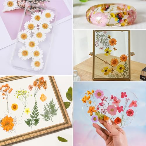 Image of 169Pcs Fall Dried Pressed Flowers for Resin, Real Natural Dry Floral Butterfly Decor for DIY Art Crafts, for Epoxy Resin Jewelry Molds Candle Jewelry Crafts