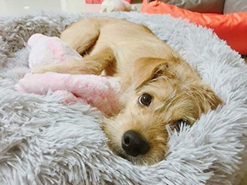 GTSoft Pet Bed for Cats and Small Medium Dogs Cuddler Round Cushion Nest Bed Portable Cat Dog Puppy Bed Sofa Doughnut Sleeping Bed Calming Bed Warm Plush Pad Mat Cozy Bed Hut(Grey 50cm)