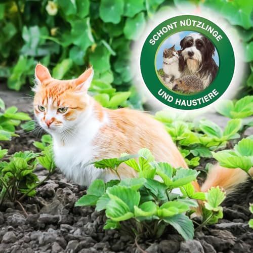 PROTECT GARDEN Protect MaXX Schneckenkorn FE, regenfest, zuverlässige Schneckenbekämpfung an Gemüse, Obst und Zierpflanzen, 1,2kg Faltschachtel für bis zu 315m²