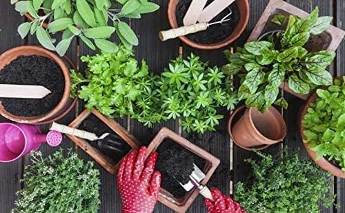 Image of Leafly Organic Fertilizer Potting Soil Mix Fertilizer for Plants (1 Kg)