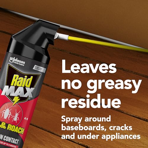 Image of Raid MAX Ant & Roach Killer Spray, Kills on Contact, Keeps Killing for up to 6 Months, 14.5 oz