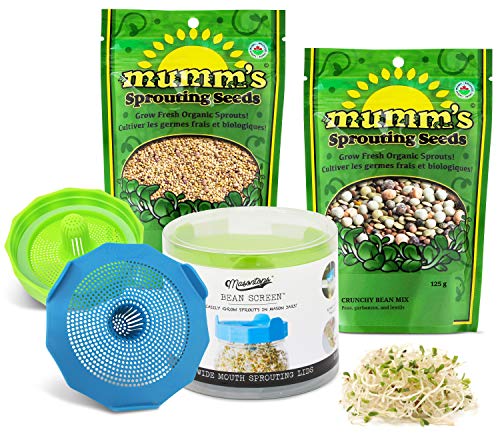 Best Healthiest Hummus