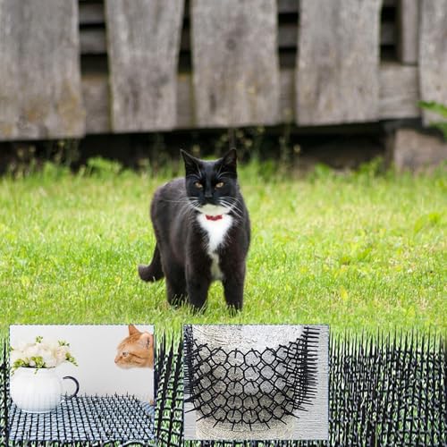 Dornengitter Gegen Katzen, 30 × 200 cm Katzenabwehrmatte mit Spikes Kunststoff Katzenschutz Spike Garten Katzenabwehr mit 10 U Nägel Anti Katzen Abwehr für Wildtiere Inner Außer