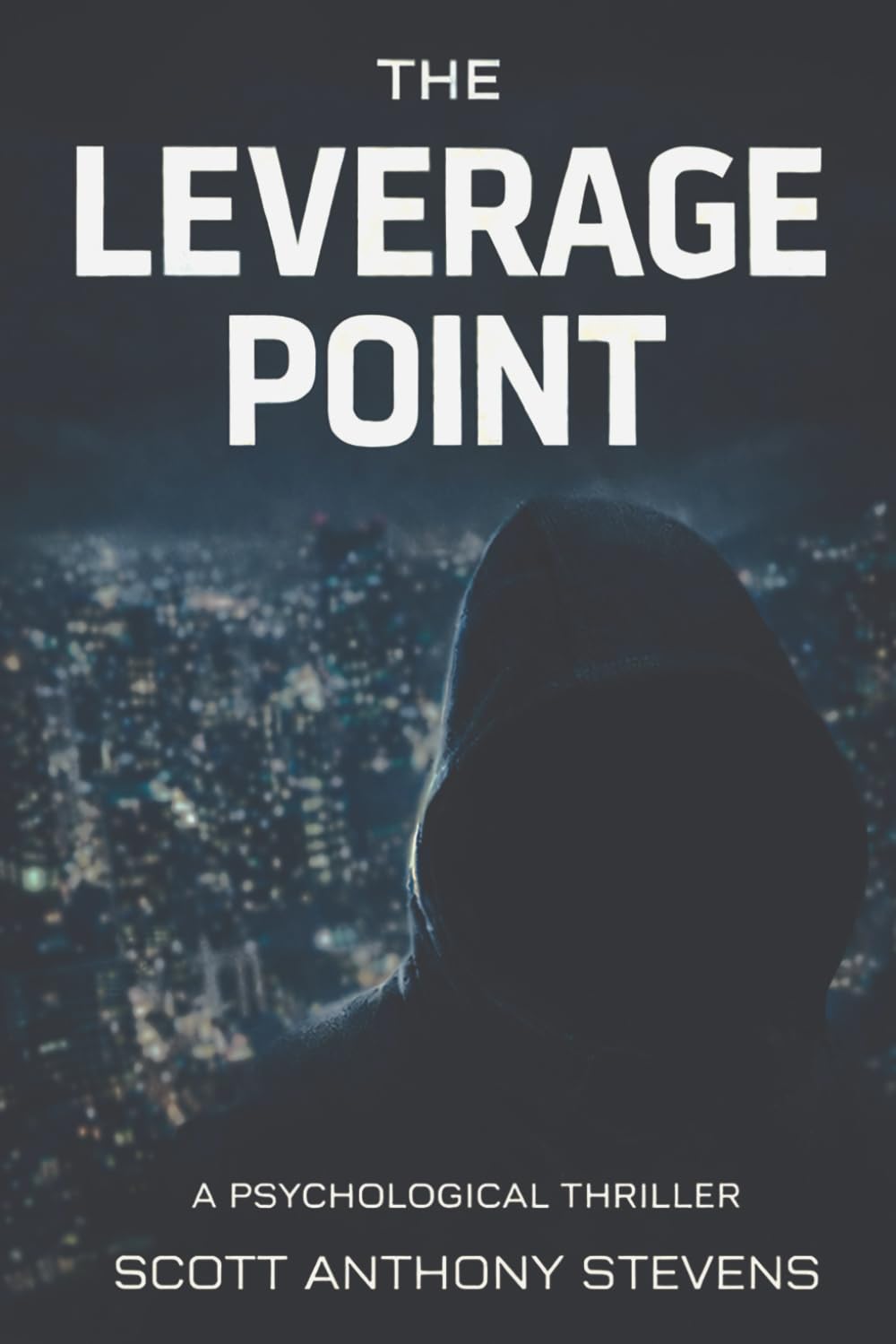 The Leverage Point: A Psychcological Thriller