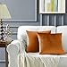 GIGIZAZA Kissenbezug Samt Kissenbezüge 50x50cm Dekorative Kissenhülle Zierkissenbezüge für Sofa Wohnzimmer Schlafzimmer und Auto 2er Set Orange Zimt