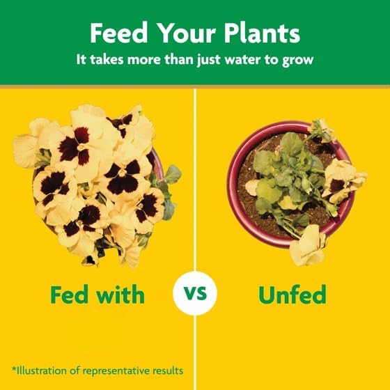 Miracles-Grows Water Soluble All Purpose Plant Food, 5 lb, Indoor and Outdoor Plants