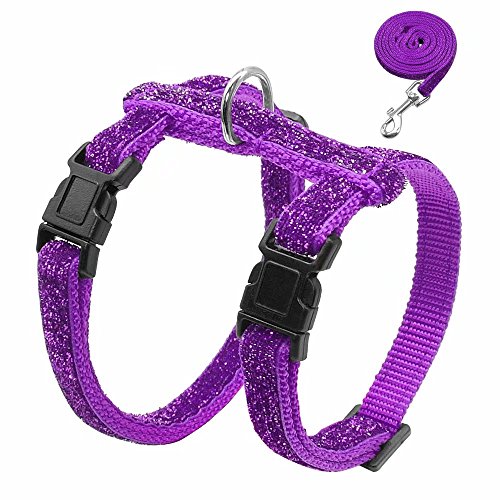 Harnais Laisse Chaton