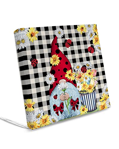 Anzona 2 Pack Chair Cushion Cover Removable, Ladybug Gnomes Waterproof Seat Cushion Slipcovers, Summer Farmhouse Daisy Black Plaid Outdoor Chair Sofa Cushion Furniture Protector 20