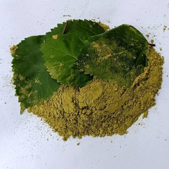Poudre de feuille d'hibiscus au rituel spa - Masque revitalisant les cheveux à la maison