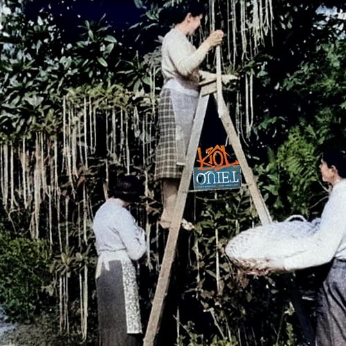 Sunday School: CTRL-ALT-DECEIT Truth in the Age of Disinformation