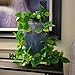BLEUM CADE Fake Hanging Plants, 2pcs Artificial Hanging Plant, Faux Pothos Vines Hanging Plant Greenery for Wall Home Living Room Indoor Outdoor Decor (No Baskets)